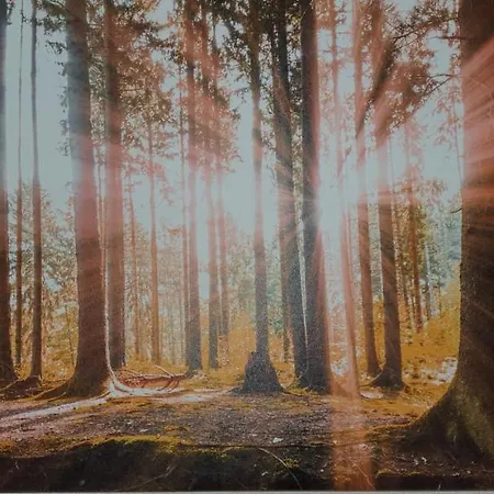 Landpension Wendfeld *